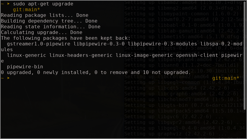 How to solve “not upgraded” / “kept back” after running apt-get upgrade?